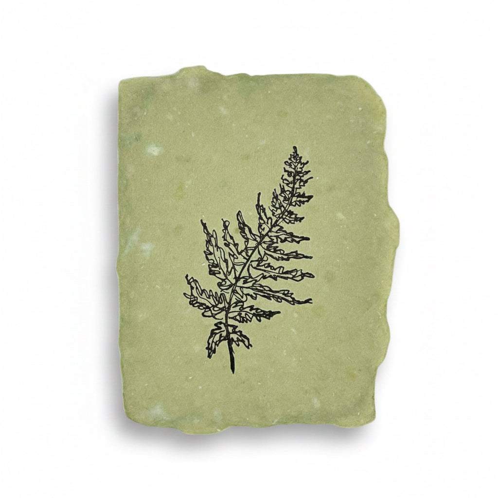 Fern note card: Single