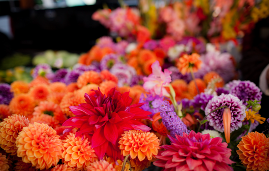 Summer Market Season in Santa Fe