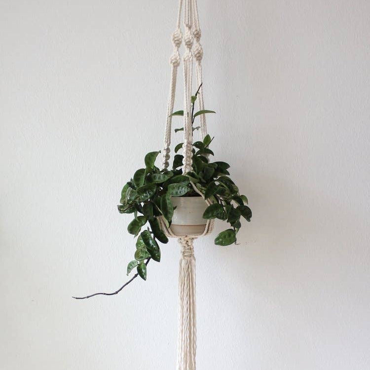 6" Planter