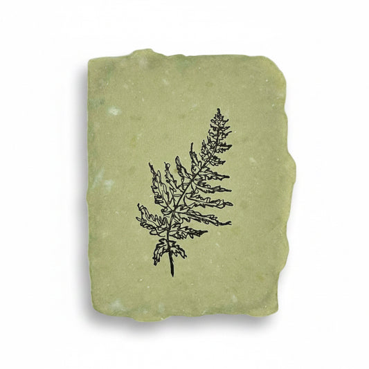 Fern note card: Single