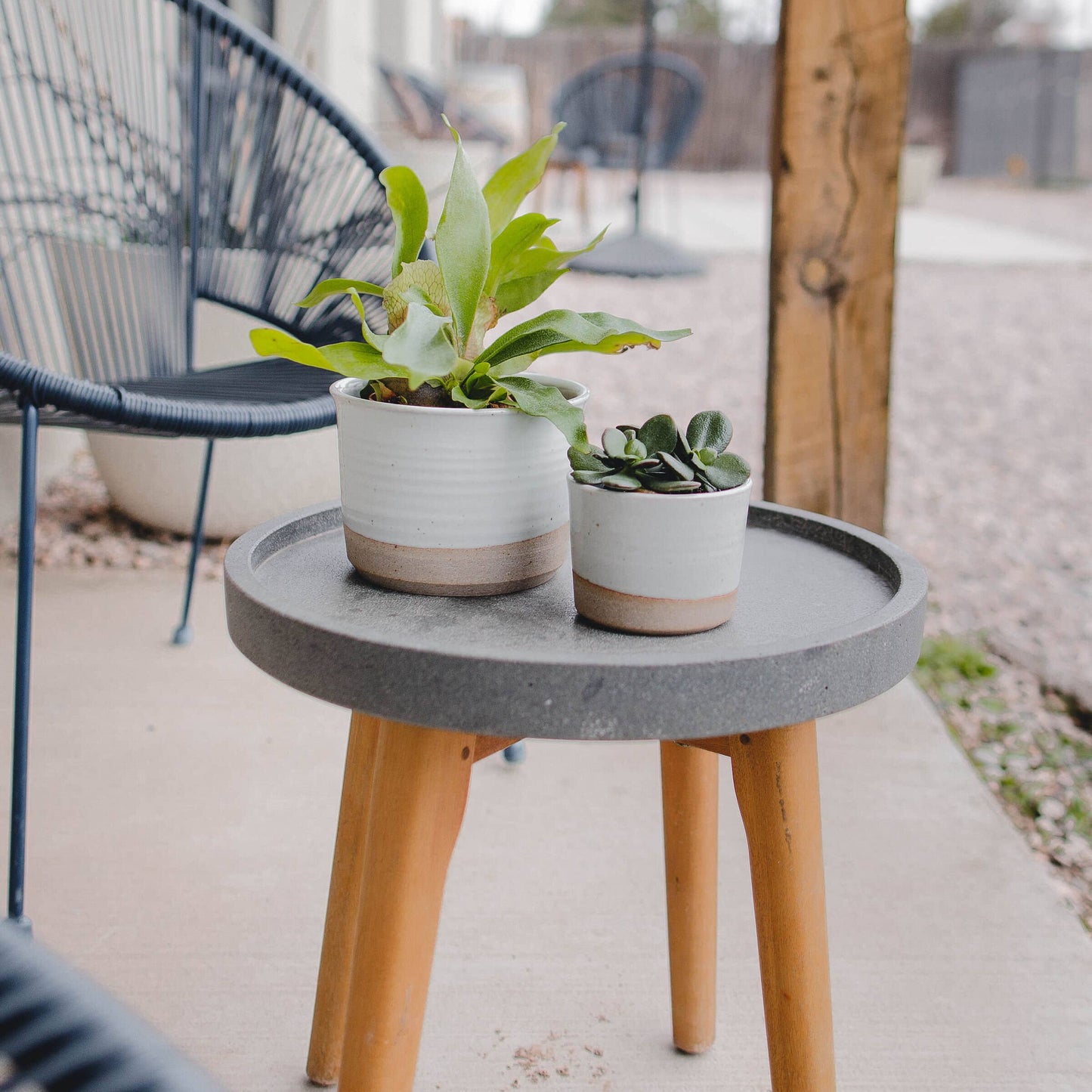 6" Planter