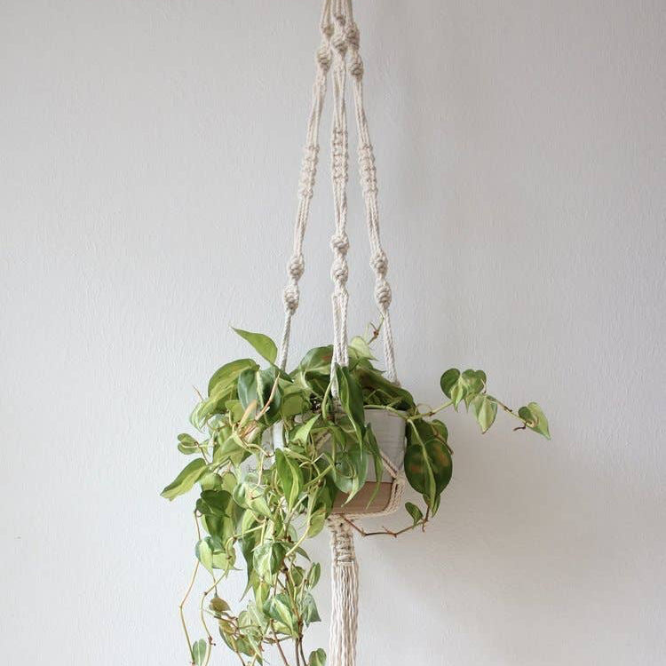 8" Planter